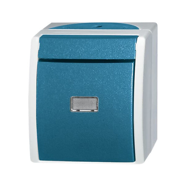 Busch-Jaeger Taster Schliesser gem.ASV 2621 WGL-53